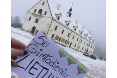 100nuotraukparodaSveikinutaveLietuva27267204_699534370435531_1371048679_o-1