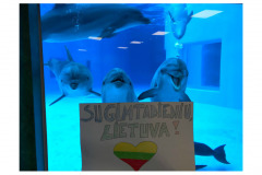 100nuotraukparodaSveikinutaveLietuva27746798_2046000515415722_1350677064_o-1