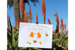 100nuotraukparodaSveikinutaveLietuvaAntibes-France-1