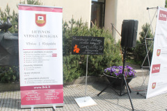 Gatvsmuzikosdiena2016mIMG_8104