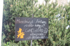 Gatvsmuzikosdiena2016mIMG_8192