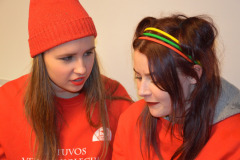 LietuvosverslokolegijaIIIKlaipdosviesfestivalyjeVienonamoistorijaDSC_0081