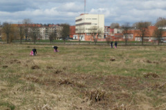 LTVKDAROM201720170414_135447