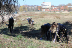 LTVKDAROM19IMG_2212