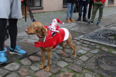 LTVKgerosiosvaigdsbgimaspadovanoksenjoramsKaldas2019IMG_2954-1