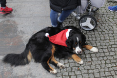 LTVKgerosiosvaigdsbgimaspadovanoksenjoramsKaldas2019IMG_3014-1