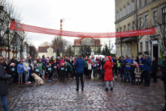 LTVKgerosiosvaigdsbgimaspadovanoksenjoramsKaldas17DSC_0337