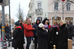 LTVKGerosiosvaigdsbgimaspadovanoksenjoramsKaldas18IMG_1471