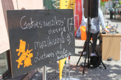 LTVKGMD17IMG_4746
