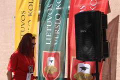 LTVKGMD17IMG_4833