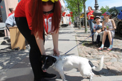 LTVKGMD17IMG_4839