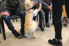 LTVKKaldinventvaikglobosnamSmiltelvaikams24