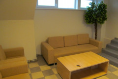 LTVKmodernistudijaplinkaIMG_1543