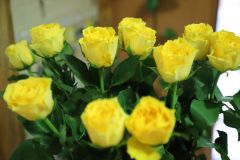 IMG_7145